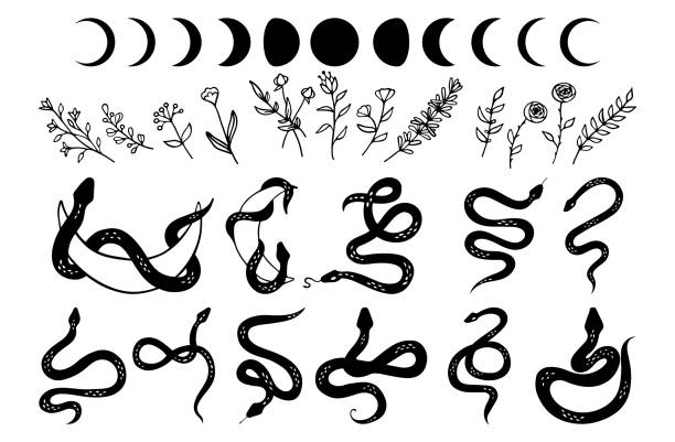 Mystic set of snakes silhouette, moon phases and wildflowers. Delicate greenery, rustic herbs, fern, foliage and plants in line style. Boho modern hand drawn design elements for logo and branding. simple snake tattoo drawings stock illustrations