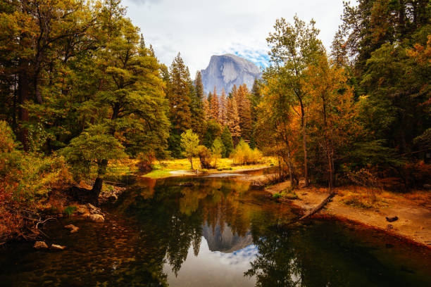 Oak trees with ferns showing autumn colors with Half Dome in the background,Yosemite National Park, CA