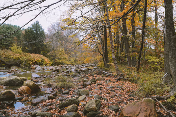 hoosic river in autumn - hoosic imagens e fotografias de stock