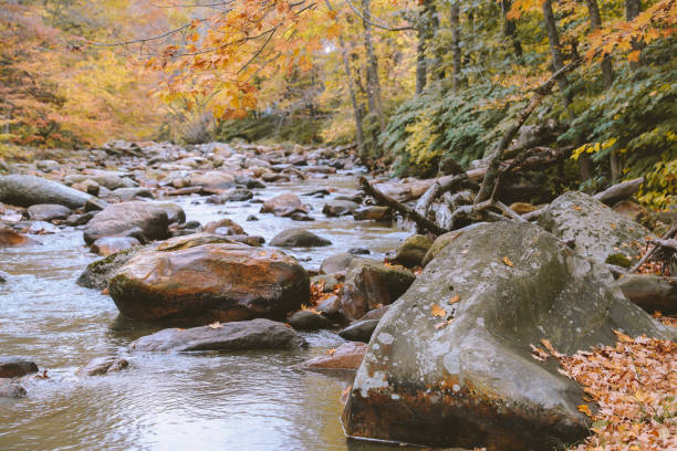 hoosic river in autumn - hoosic imagens e fotografias de stock