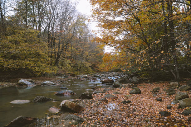 istock Hoosic River in autumn 1279051431