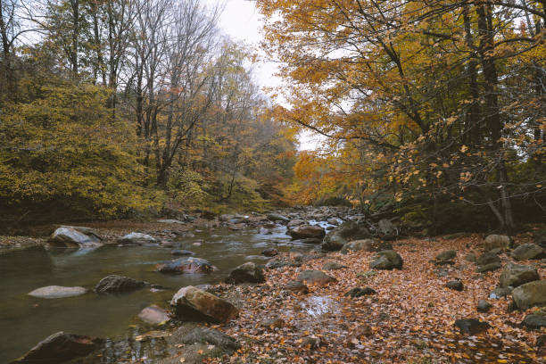 hoosic river in autumn - hoosic imagens e fotografias de stock