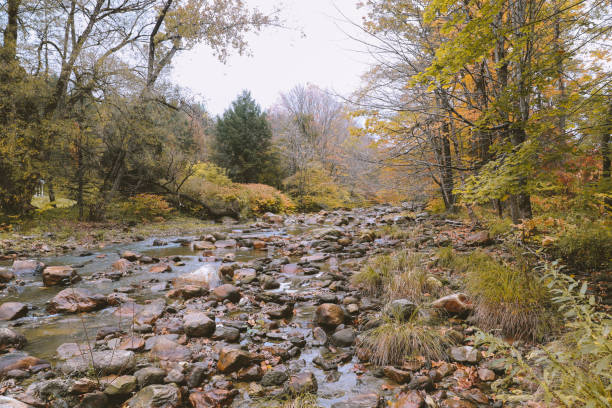 hoosic river in autumn - hoosic imagens e fotografias de stock