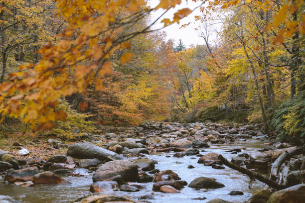 hoosic river in autumn - hoosic imagens e fotografias de stock