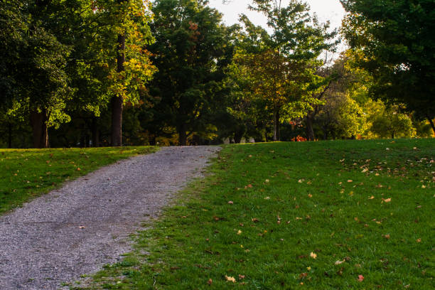 istock Natural Landscape - Gravel Footpath 1279052279
