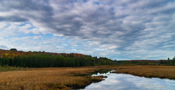 Natural Landscape - Wetlands