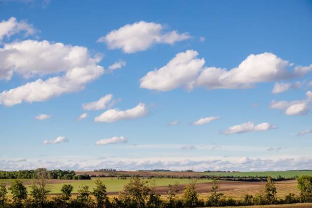 istock Autumn pumpkin field and beautiful sky with white clouds. Austria 1279053955
