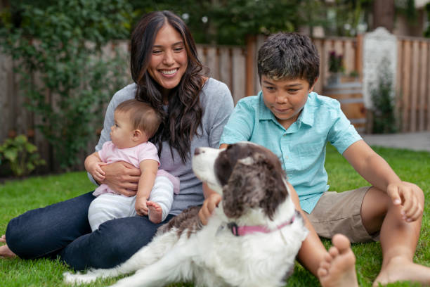 istock Happy dog relaxing with her owners outside 1279059586