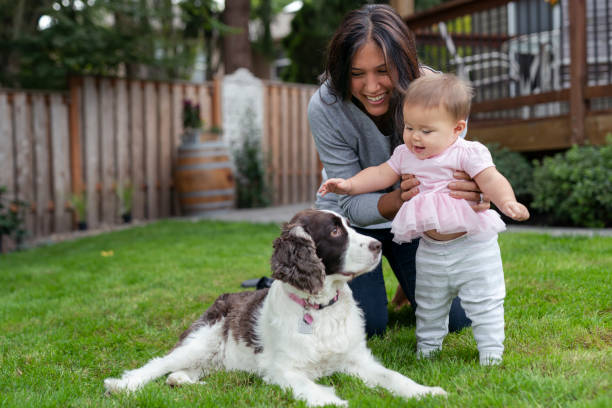 glückliches baby spielt mit ihrer mutter und haustier hund - eurasian ethnicity stock-fotos und bilder