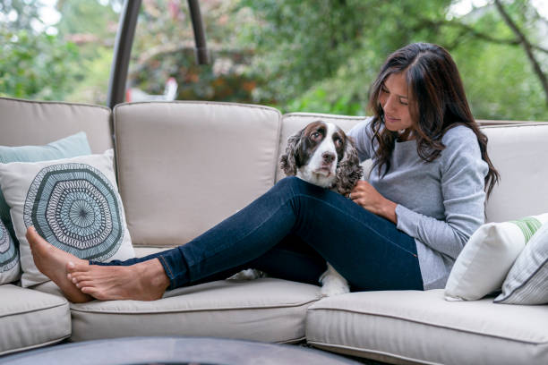 Attractive Mixed Race Woman Spending Time With Her Dog Outside