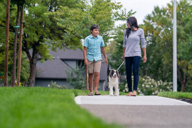 istock Mixed race mother and son walking their dog 1279059619