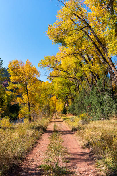istock Hiking trail through a scenic autumn landscape 1279060760