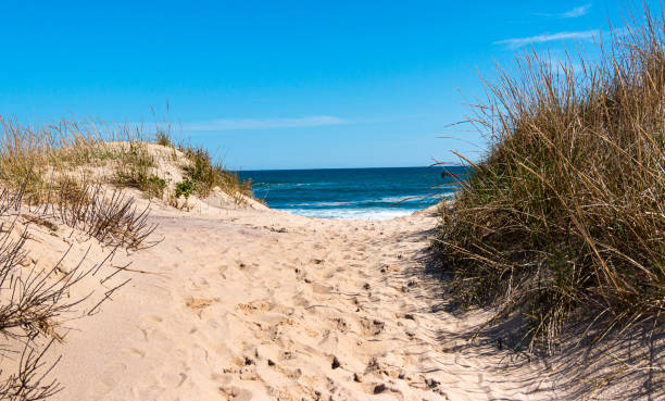 Looking through the dunes people walk through to get to the Ocean in Montauk New York View of the Atlantic Ocean looking through a sand dune at Montauk Beach with footprints in the center and beach grass on the sides. montauk point stock pictures, royalty-free photos & images