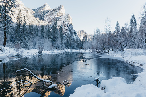 Calm river surrounded by trees in Yosemite National Park, California