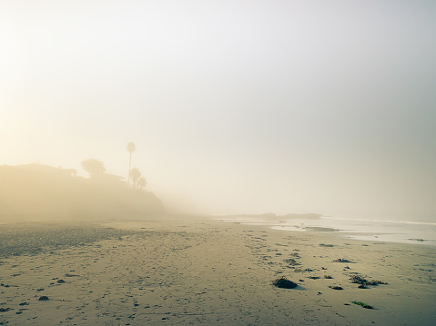 An empty coastline during a foggy morning on Cayucos Beach on the central coast of California. Shot on an iPhone.