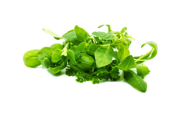 istock Variety of Herbs isolated on white 1279073057