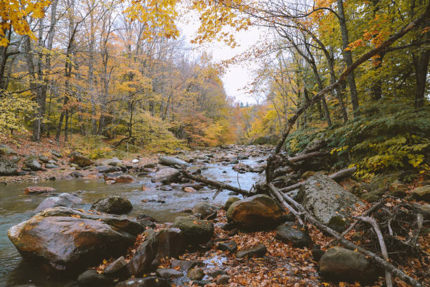hoosic river in autumn - hoosic imagens e fotografias de stock