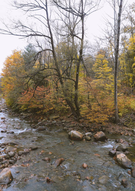 秋のフーシック川 - hoosic ストックフォトと画像