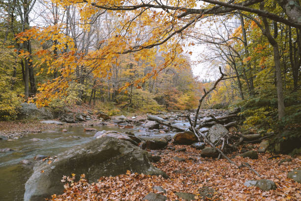 hoosic river im herbst - hoosic stock-fotos und bilder