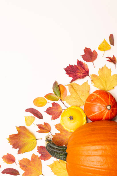 istock Festive composition of colored autumn leaves, pumpkins and squash on a light background copy space. Thanksgiving or Halloween concept 1279078983
