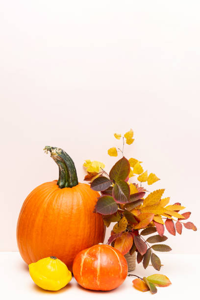 istock Festive composition of colored autumn leaves, pumpkins and squash on a light background copy space. Thanksgiving or Halloween concept 1279078990