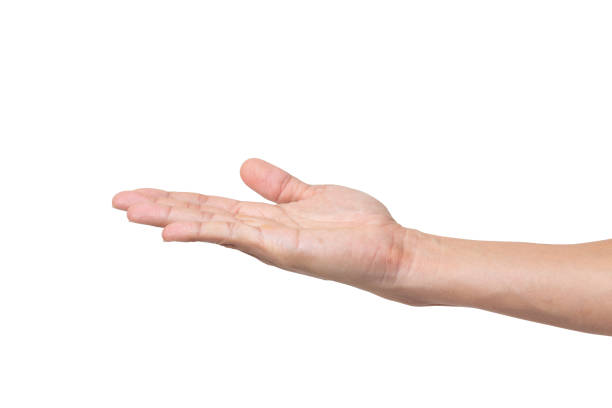 istock Close-up of empty woman hand isolated on white background with clipping path 1279080734
