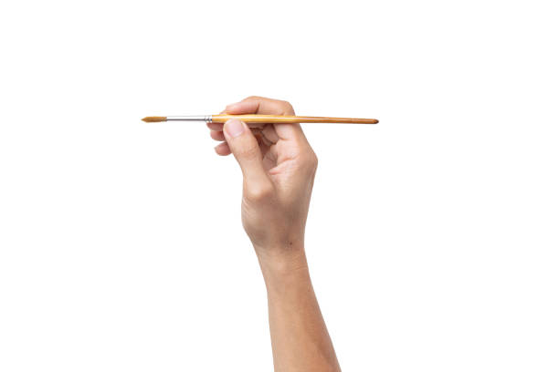 Man hand holding a paintbrush isolated on a white background