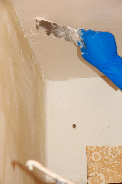 istock A Female plasterer painter in blue gloves repairing a ceiling indoor 1279086366