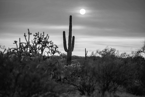 Sunset in Arizona