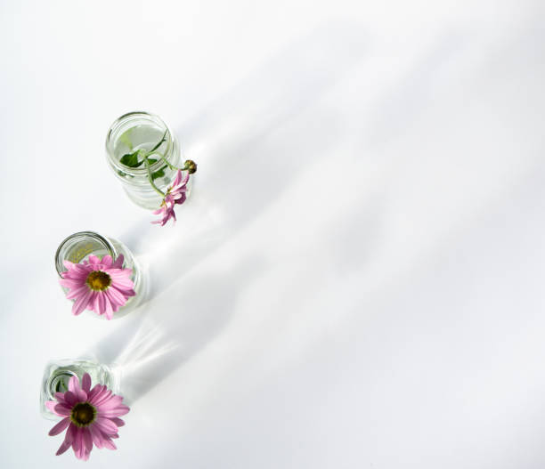 istock Spring card with flowers in glass bottles 1279096539