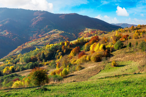 istock beautiful mountain landscape on a sunny day 1279097423