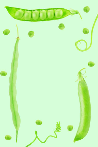 istock Square frame made of green pea with copyspase inside isolated on a white. 1279099916