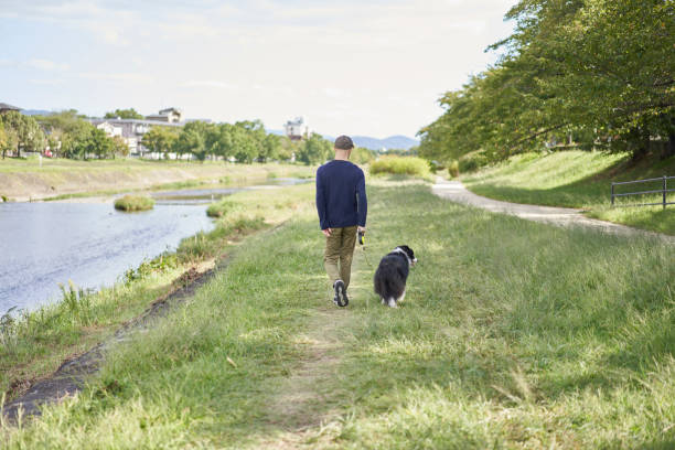 istock Japanese man walks a riverbed with his dog 1279102644
