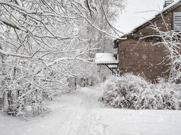 istock Snowy white background in village. Winter trees with hoarfrost d 1279102723