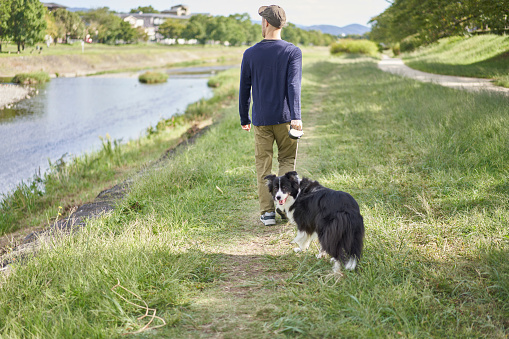 A Japanese man living in Kyoto is having a wonderful time with her dog, a border collie, during a walk.