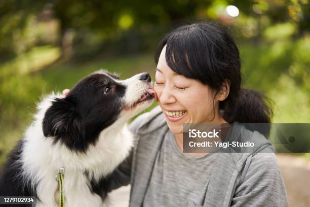 Japanese Woman And Border Collie Relaxed Outdoors Stock Photo - Download Image Now