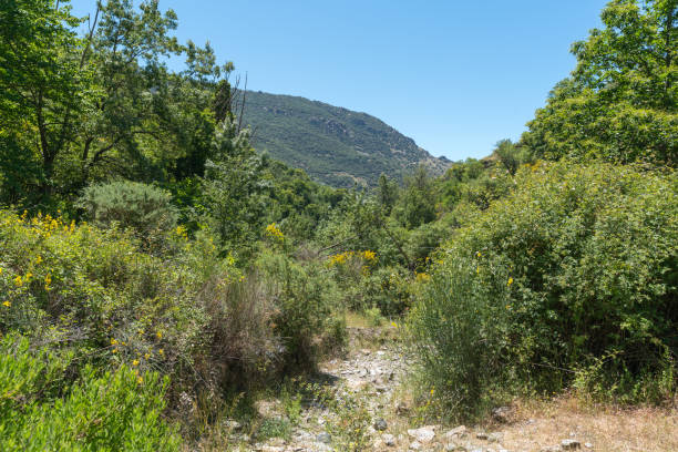 istock mountain road in southern Spain 1279104336
