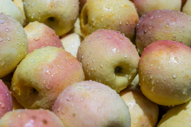 сырые желтые яблоки продаются на местном рынке уличной еды на острове занзибар, танзания, африка, крупным планом - africa agriculture zanzibar industry стоковые фото и изображения