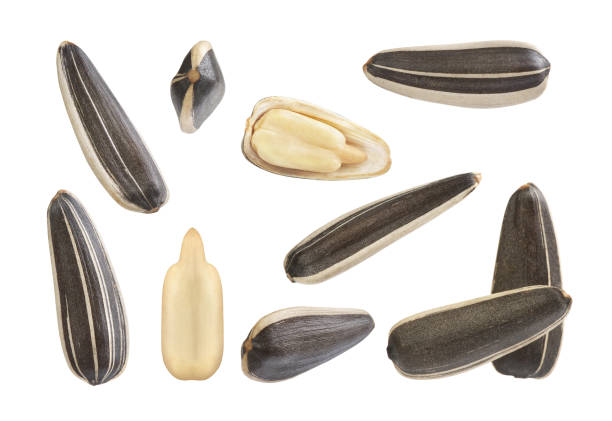 istock Set of sunflower seeds on a white background 1279107861