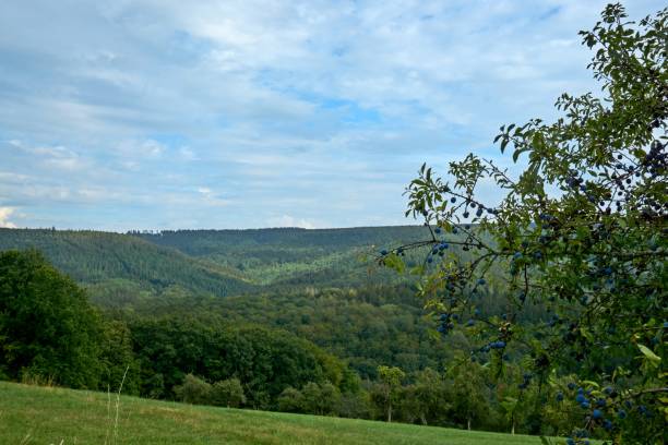 istock autumn landscape with colorful trees near Daun, Eifel 1279109655