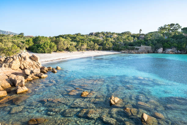 istock Spiaggia Capriccioli, Sardinia, Italy 1279110658