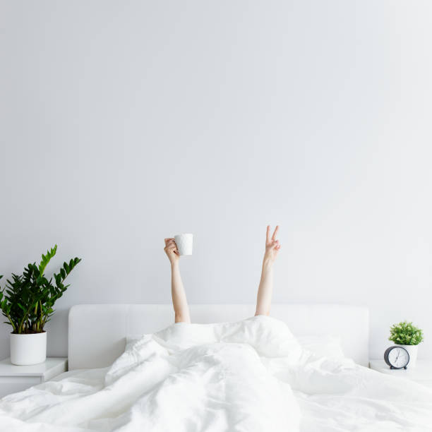 good morning concept - female hands with coffee cup and victory sign sticking out from the blanket at home or hotel, copy space over white wall stock photo