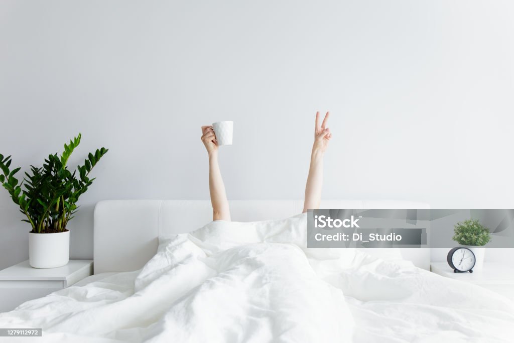good morning concept - female hands with coffee cup and victory sign sticking out from the blanket at home or hotel good morning and relaxation concept - female hands with coffee cup and victory sign sticking out from the blanket at home or hotel Bed - Furniture Stock Photo