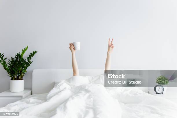 Good Morning Concept Female Hands With Coffee Cup And Victory Sign Sticking Out From The Blanket At Home Or Hotel Stock Photo - Download Image Now
