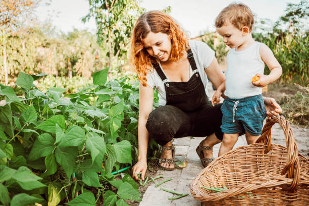 istock Family gardening together 1279113841