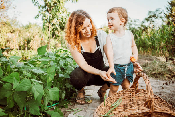 istock Family gardening together 1279113939