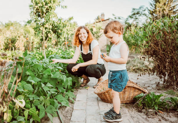 istock Family gardening together 1279113940