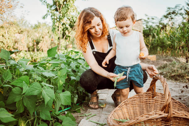 istock Family gardening together 1279114151