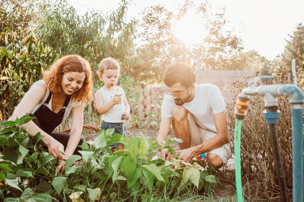 istock Family gardening together 1279114413