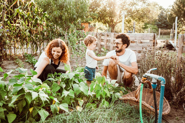 istock Family gardening together 1279114416